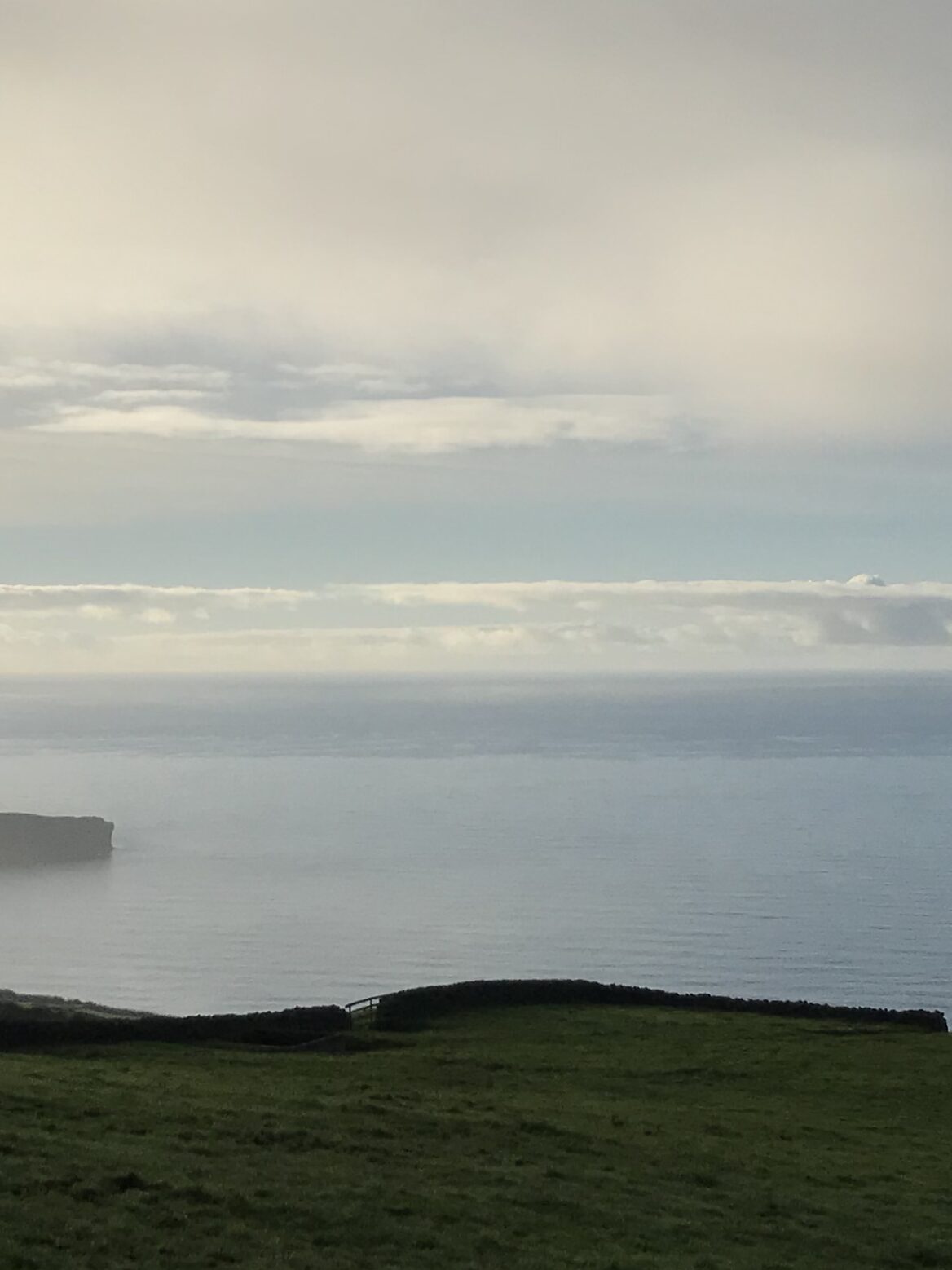 Misty ocean and grassy cliffs at golden hour