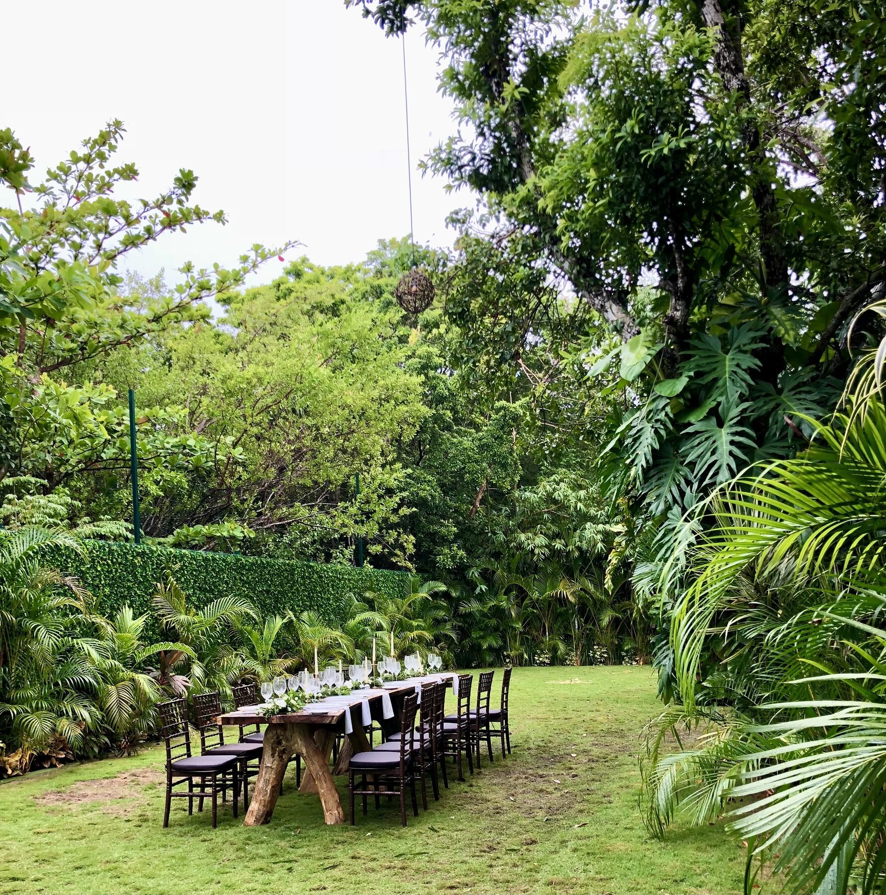 A long outdoor dining table set for a gathering in a tropical garden